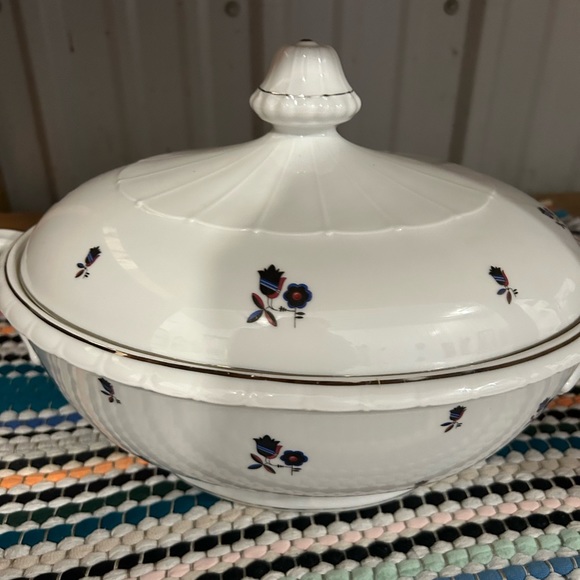 Savor the Elegance: TK Thun Bohemian China Soup Bowl – A Chic Culinary Delight! - Picture 1 of 9